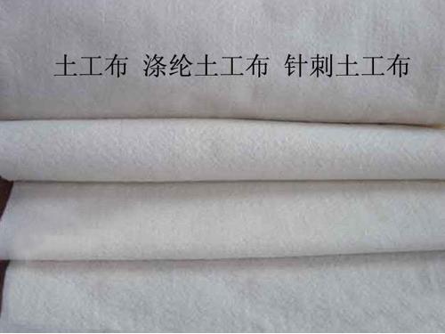 涤沦青青草视频app