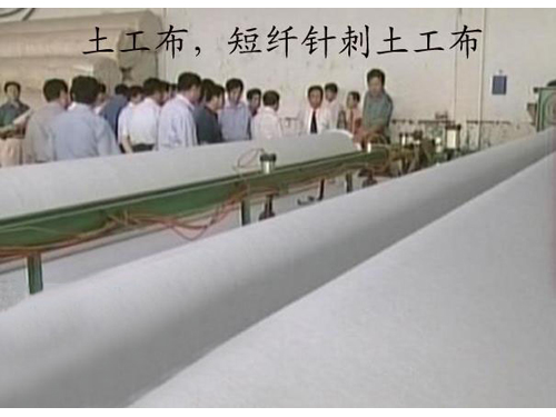 短刺青青草视频app